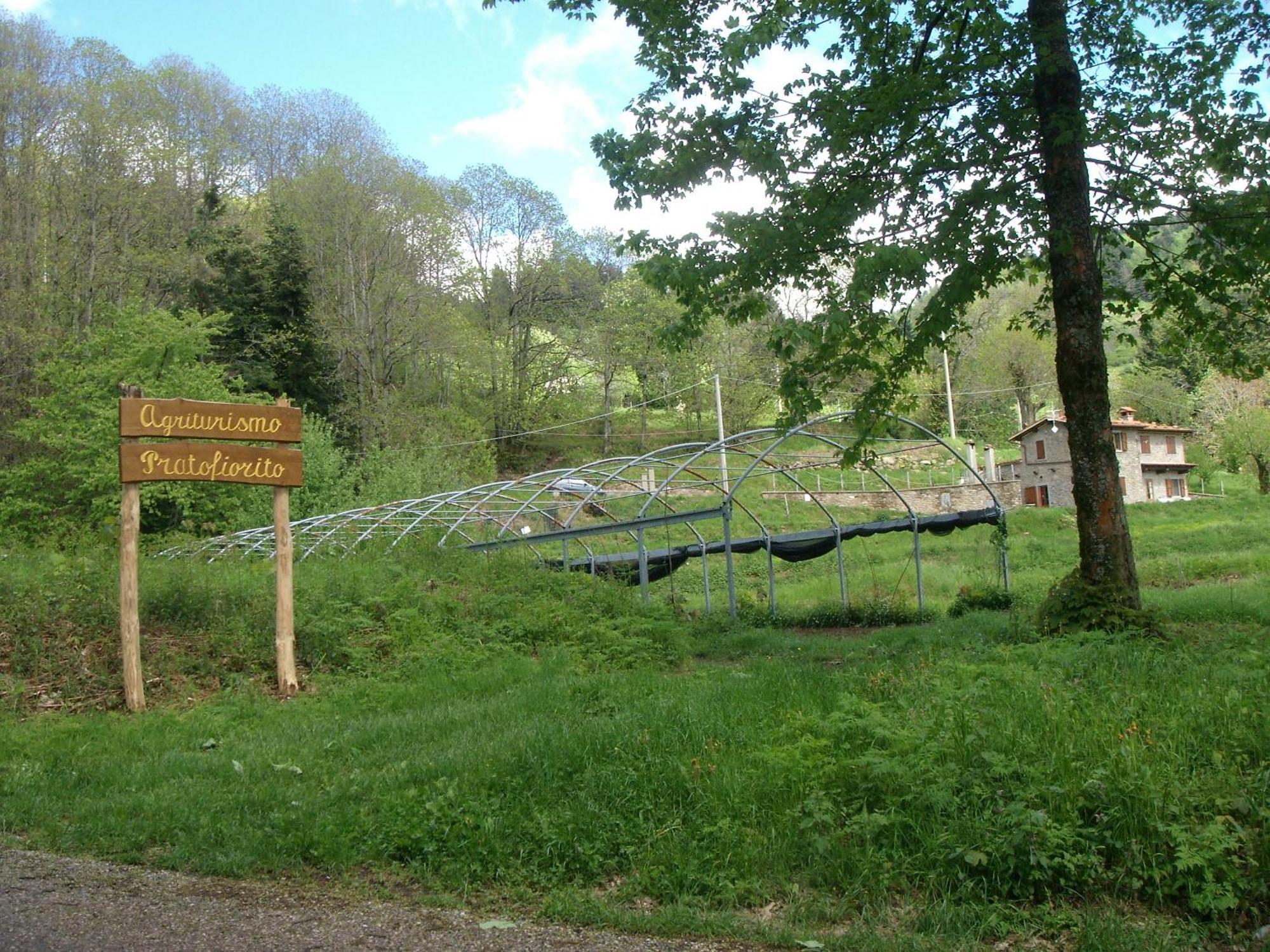 באניי די לוקה Agriturismo Prato Fiorito מראה חיצוני תמונה